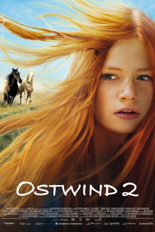 Stormy 2 poster